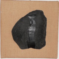 /album/galleria-fotografica/fiera-donna-4-jpg/